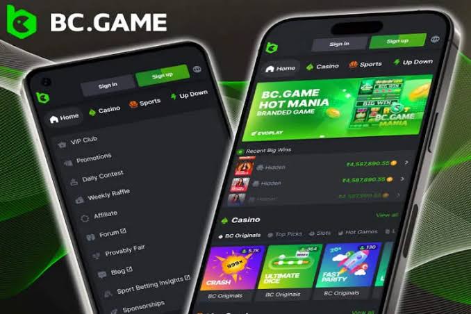 Exploring BC.Game in the United States A Unique Online Gaming Experience